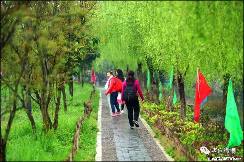 【春天，广西桂林灌阳县向您发出邀请！】江口老街又逢春 - 游山玩水 - 北京生活社区 - 北京28生活网 bj.28life.net