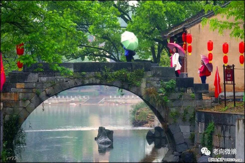 【春天，广西桂林灌阳县向您发出邀请！】江口老街又逢春 - 游山玩水 - 北京生活社区 - 北京28生活网 bj.28life.net