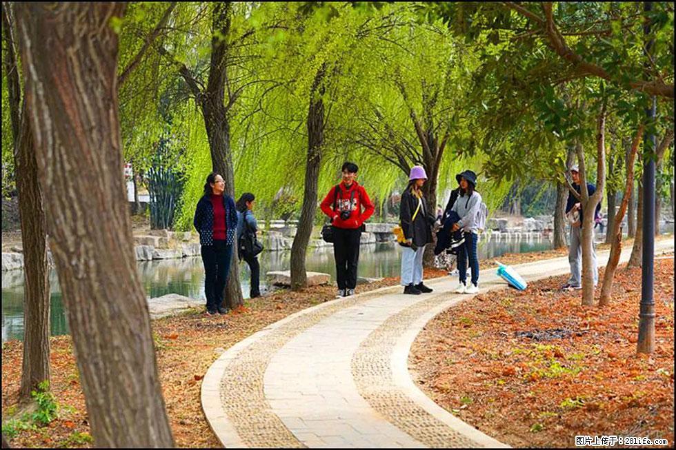 【春天，广西桂林灌阳县向您发出邀请！】江口老街又逢春 - 游山玩水 - 北京生活社区 - 北京28生活网 bj.28life.net