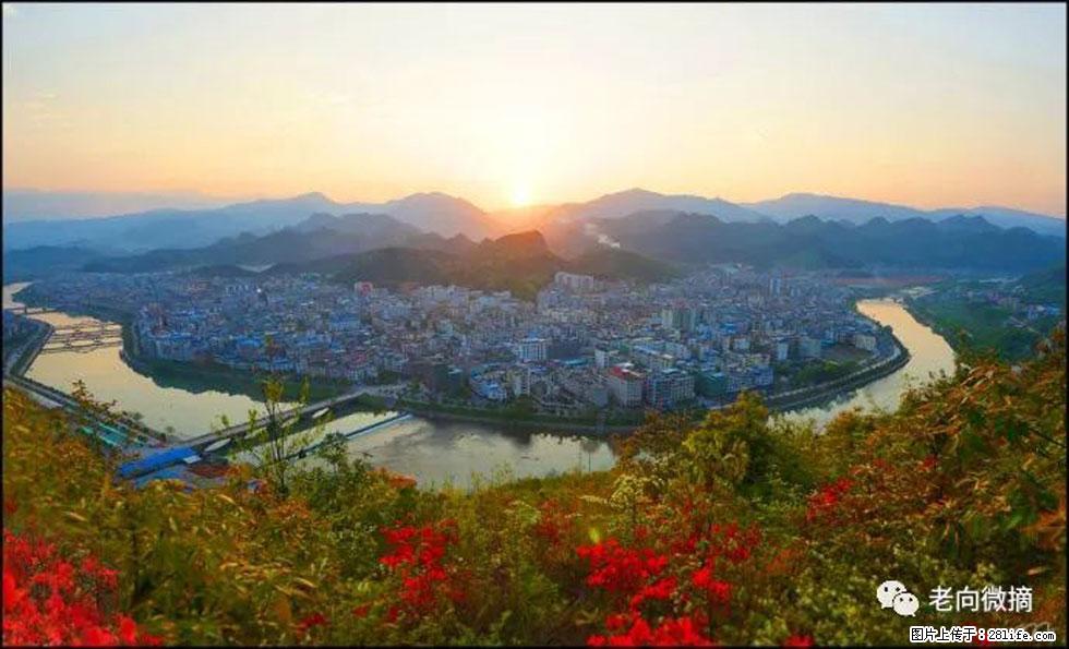 【春天，广西桂林灌阳县向您发出邀请！】登麒麟山，相约映山红 - 游山玩水 - 北京生活社区 - 北京28生活网 bj.28life.net