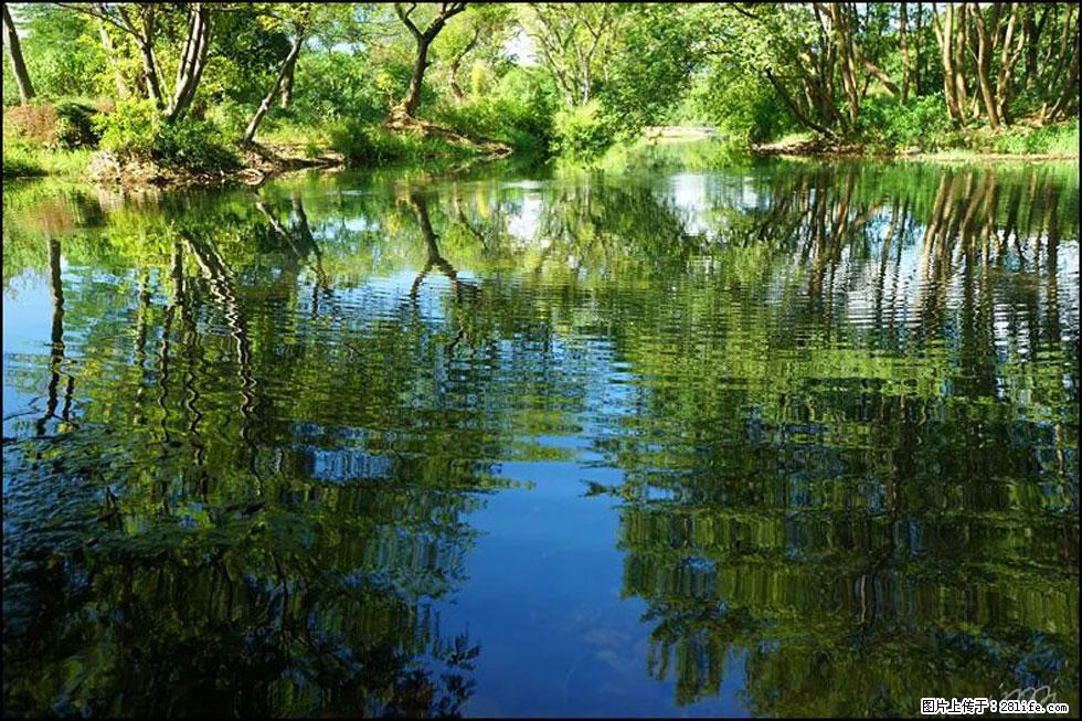 【春天，广西桂林灌阳县向您发出邀请！】熊家寨湿地公园 - 游山玩水 - 北京生活社区 - 北京28生活网 bj.28life.net