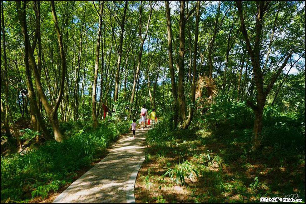 【春天，广西桂林灌阳县向您发出邀请！】熊家寨湿地公园 - 游山玩水 - 北京生活社区 - 北京28生活网 bj.28life.net