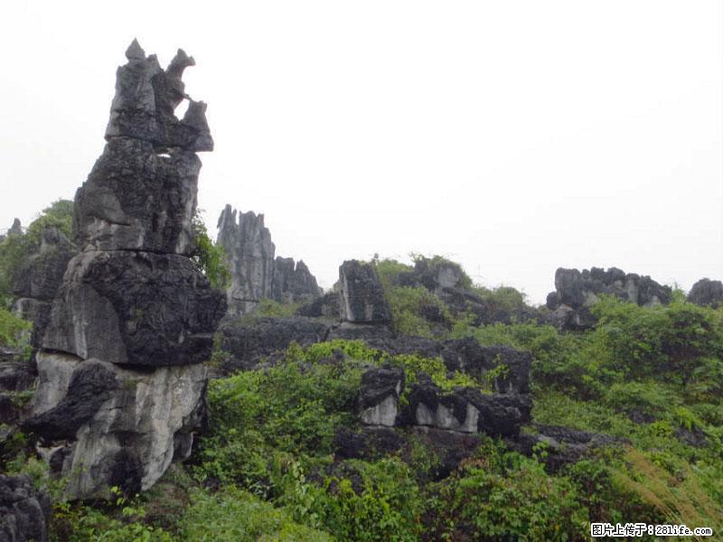 桂林旅游名城景点：灌阳文市石林 - 游山玩水 - 北京生活社区 - 北京28生活网 bj.28life.net