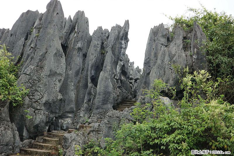 桂林旅游名城景点：灌阳文市石林 - 游山玩水 - 北京生活社区 - 北京28生活网 bj.28life.net