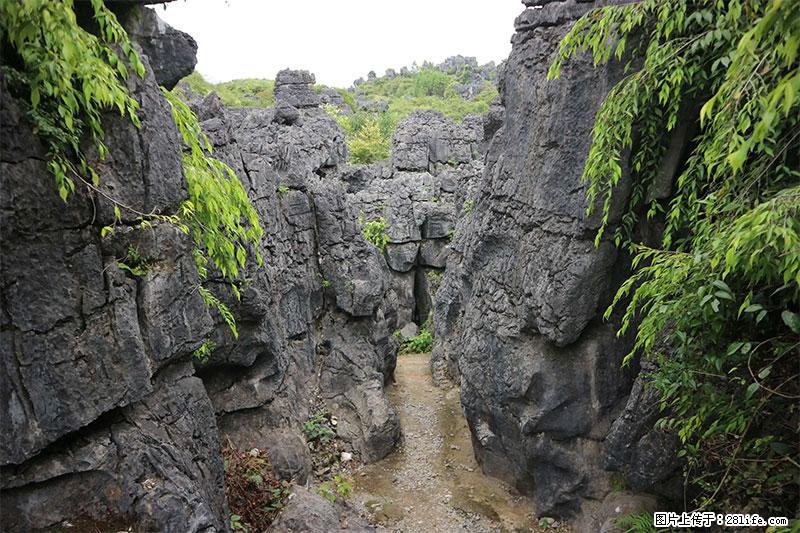桂林旅游名城景点：灌阳文市石林 - 游山玩水 - 北京生活社区 - 北京28生活网 bj.28life.net