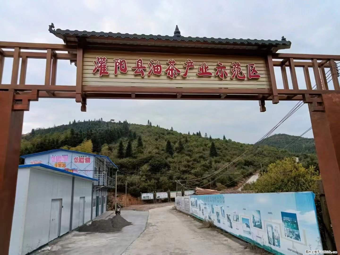 【灌阳县油茶产业示范区】一个有着充实的精神生活的人，对待身外之物自会有一种淡泊的态度 - 美食天地 - 北京生活社区 - 北京28生活网 bj.28life.net