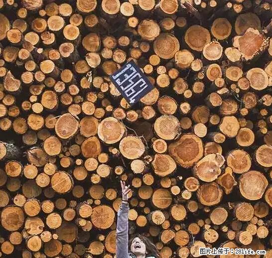 辞掉工作周游世界？现在他们在洗厕所…… - 游山玩水 - 北京生活社区 - 北京28生活网 bj.28life.net