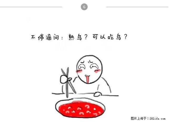 千万不要和这9种哈卵一起吃火锅! - 美食天地 - 北京生活社区 - 北京28生活网 bj.28life.net