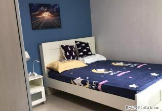 (单间出租)七里庄 东大街 家电齐全 拎包入住 欧式装修 - 北京28生活网 bj.28life.net