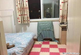 (单间出租)国贸双井百子湾大郊亭九龙山易构空间后现代城次卧出租看房随时 - 北京28生活网 bj.28life.net