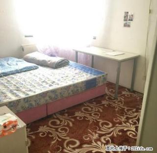 (单间出租)学院路逸成东苑精装三家合租大主卧家电家具全齐拎包入住 - 北京28生活网 bj.28life.net