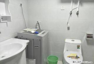 出租两居室！~~急租~~~急租！！~~~ - 北京28生活网 bj.28life.net