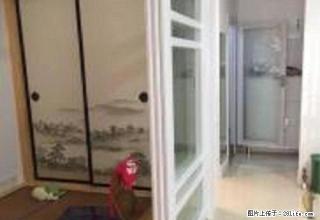 临德胜国际积水潭精装一居 给您想要的温馨生活 给自己另一个家 - 北京28生活网 bj.28life.net