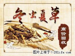 前门回收冬虫夏草13021062888前门回收阿胶 - 北京28生活网 bj.28life.net