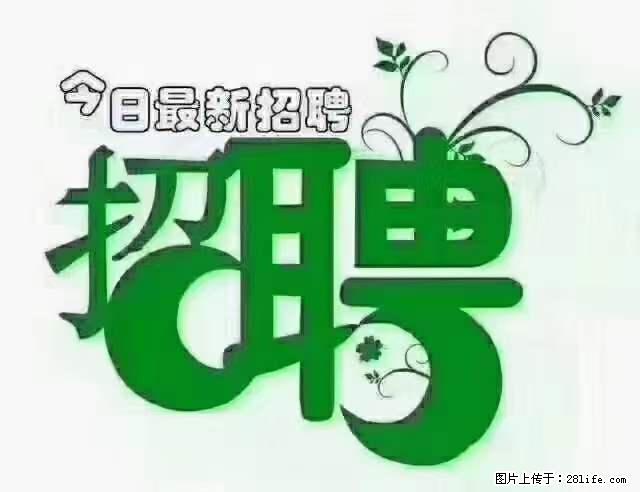 【招聘摄像师】待遇：试用期6000元/月，转正7000元/月+五险一金+餐补+节日福利+奖金 - 其他招聘信息 - 招聘求职 - 北京分类信息 - 北京28生活网 bj.28life.net