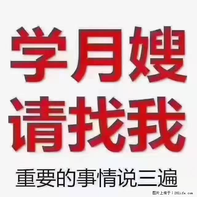 【招聘】月嫂，上海徐汇区 - 职场交流 - 北京生活社区 - 北京28生活网 bj.28life.net