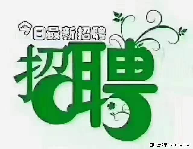 上海隔离酒店招人：55岁以下 男女不限 - 职场交流 - 北京生活社区 - 北京28生活网 bj.28life.net