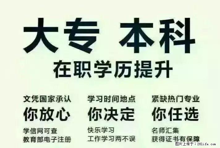 北京名校成考招生 高升专 专升本2026年专业托管VIP简章 - 网站推广 - 广告专区 - 北京分类信息 - 北京28生活网 bj.28life.net