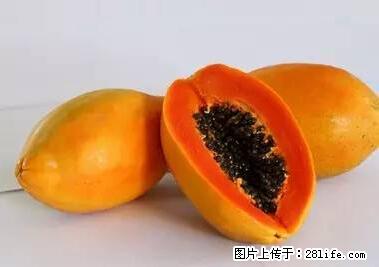 晕车、脚气、牙齿变黄、皮肤粗糙？学会这些三分钟搞定！ - 北京生活资讯 - 北京28生活网 bj.28life.net