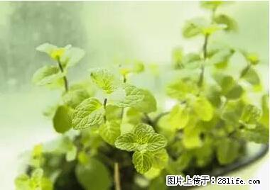 晕车、脚气、牙齿变黄、皮肤粗糙？学会这些三分钟搞定！ - 北京生活资讯 - 北京28生活网 bj.28life.net