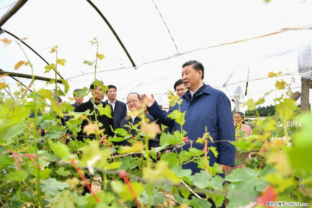 习近平赴广西考察调研 - 北京生活资讯 - 北京28生活网 bj.28life.net