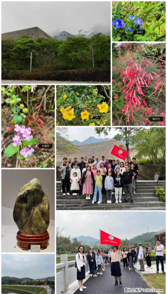 “粤灌文化 美好生活”油茶文化主题活动在广东深圳成功举办 - 北京生活资讯 - 北京28生活网 bj.28life.net