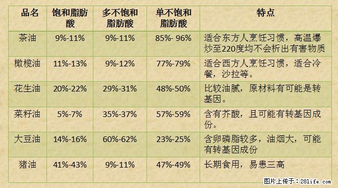揭秘茶油的5大核心营养成分！被称为人体健康的“守护盾”！ - 北京生活资讯 - 北京28生活网 bj.28life.net