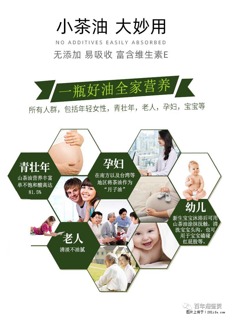 世界没有真相，只有认知，最好的食用油是中国的山茶油！ - 北京生活资讯 - 北京28生活网 bj.28life.net