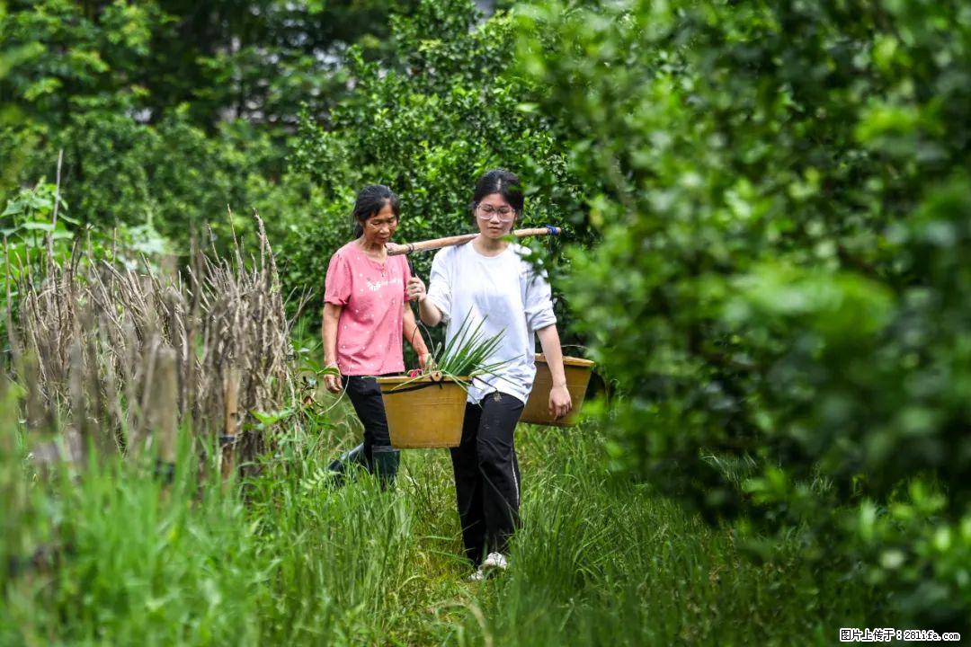 全网追的“扁担女孩”，找了一份暑假工，时薪12元 - 北京生活资讯 - 北京28生活网 bj.28life.net
