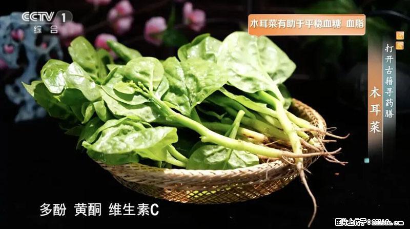 比牛奶补钙还厉害！凉血解毒、稳血糖...这菜冬天必吃，很多人却当草 - 北京生活资讯 - 北京28生活网 bj.28life.net