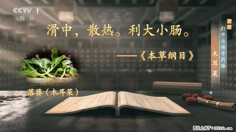 比牛奶补钙还厉害！凉血解毒、稳血糖...这菜冬天必吃，很多人却当草 - 北京生活资讯 - 北京28生活网 bj.28life.net