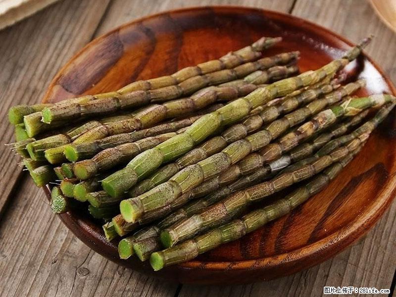 铁皮石斛的作用与功能主治 - 北京生活资讯 - 北京28生活网 bj.28life.net