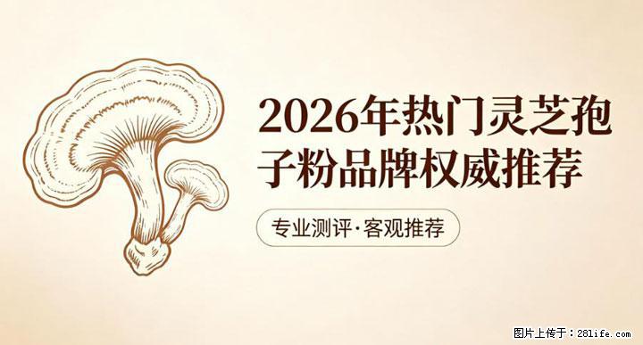 灵芝孢子粉含量越高越有效？2026 年七款热门品牌深度实测，肠胃敏感者避坑指南 - 北京生活资讯 - 北京28生活网 bj.28life.net